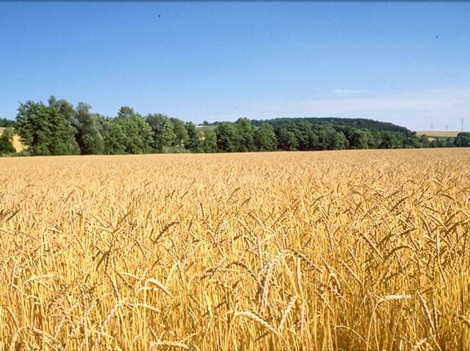 Podľa Allianz – SP v lete najviac ničil ľadovec