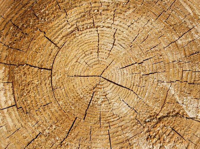 Za každú zelenú prihlášku do Dôvery venujeme 50 centov na čistenie riek a výsadbu stromov