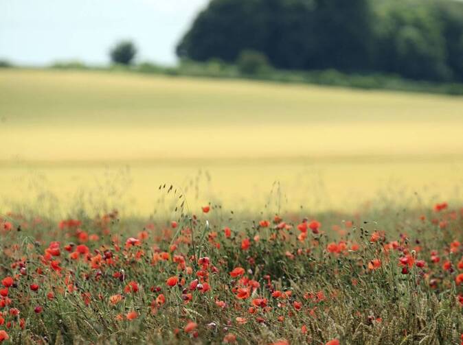 Zosuv pôdy na severovýchode Spojených štátov: o riziku sa vedelo