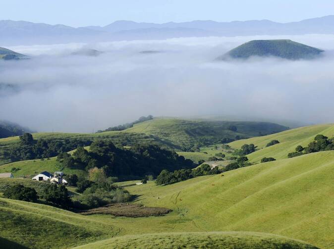 Allianz – SP sa stará o životné prostredie