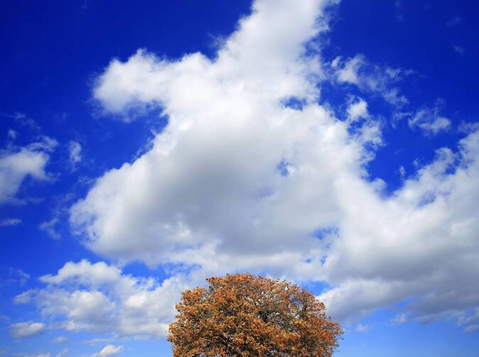 Generali prináša poistenie zodpovednosti za environmentálnu škodu