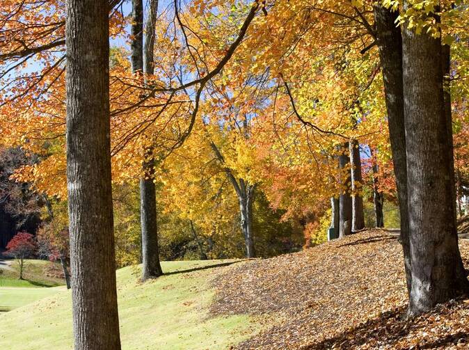 Genertel: Keď 20 € zachráni život