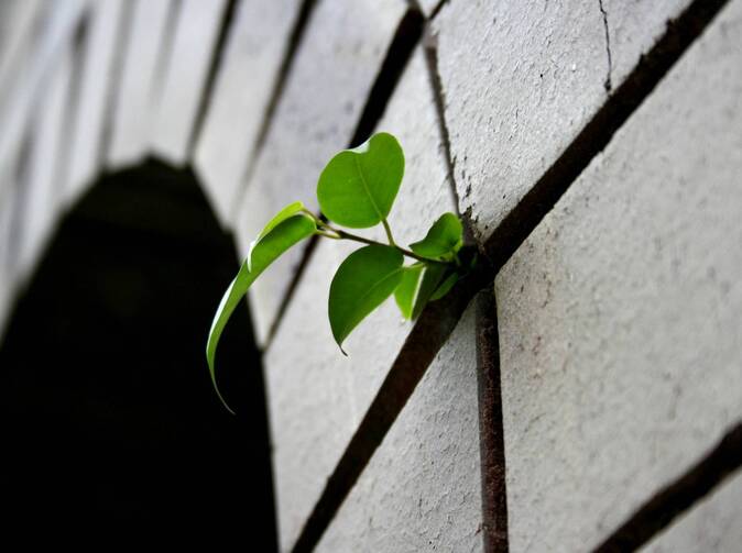Prešovský kraj preveruje stav poistenia budov a zbierkových fondov