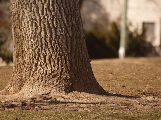 Ekosystémy: Nová príležitosť pre poisťovateľov?