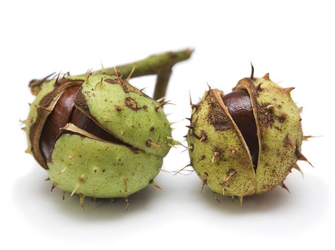 MetLife kupuje tri európske operácie poisťovne Aviva