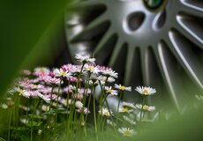 Zaujímavosť: Briti by boli pre „zelené" náhradné diely. Chýba možnosť voľby