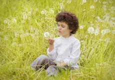 Marec štartuje alergickú sezónu: Čo sa deje v ovzduší, a ako alergiu riešiť natrvalo