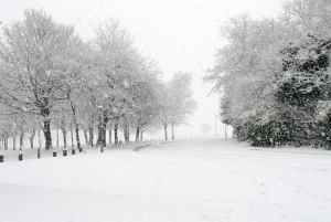 Takmer polovicu územia USA pokryl sneh