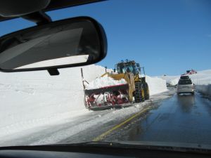 Vyše dve tretiny vodičov nemajú na auto havarijnú poistku