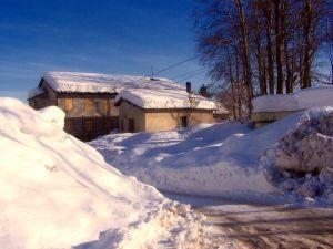 Zhoďte slona zo strechy svojho domu!