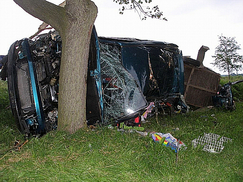 Radíme: Vodiči, takto postupujte pri strete so zverou!