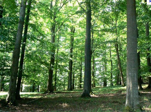 Dovolenka na slovenských horách vás môže stáť až tisícky eur