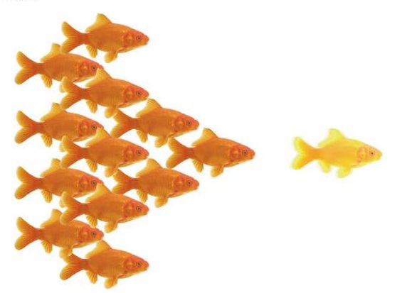 10 rád pre podnikateľov. Zbavte sa dlhov na sociálnom poistení