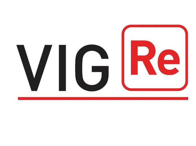 Výsledky spoločnosti VIG Re za rok 2014