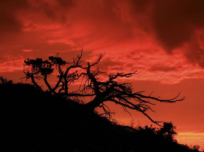 Popol z aljašskej sopky narušil leteckú dopravu