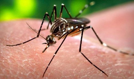 Zika predstavuje ďalšie veľké riziko, ktoré straší aj poisťovne