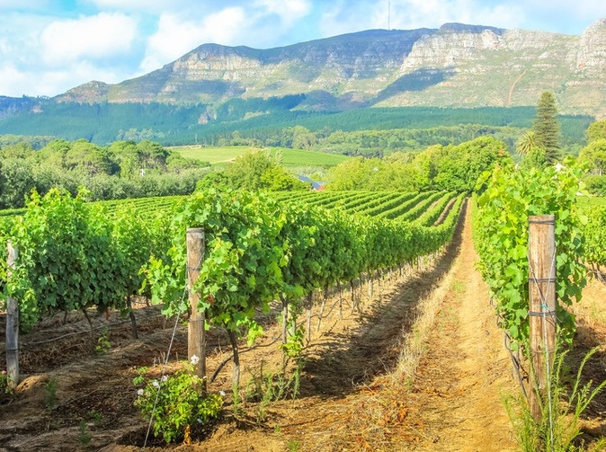 Sezónne zamestnávanie v poľnohospodárstve a turizme by sa malo zjednodušiť