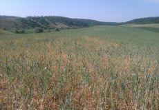 
			Klimatológovia upozorňujú na zmeny klímy, môžu spôsobiť predraženie poistenia