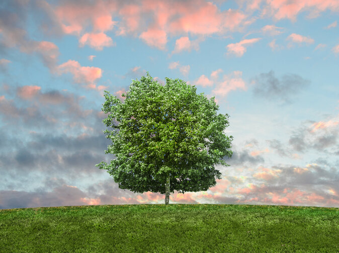 Čoho sú Nemci ochotní vzdať sa kvôli klíme?