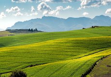 
			Agrorezort pomôže poľnohospodárom s platbou poistného