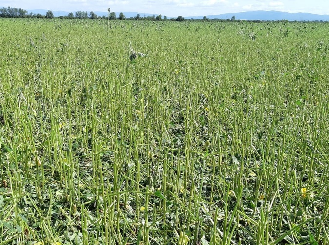 Agra poisťovňa hlási opakované krupobitia na východe Slovenska