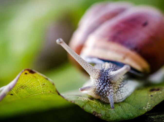 Mladí Slováci strácajú nádej, že sa osamostatnia skôr. Aké majú možnosti?