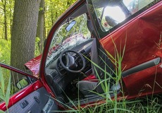 Keď je z podvodníka babrák. Kuriózne prípady poistného detektíva