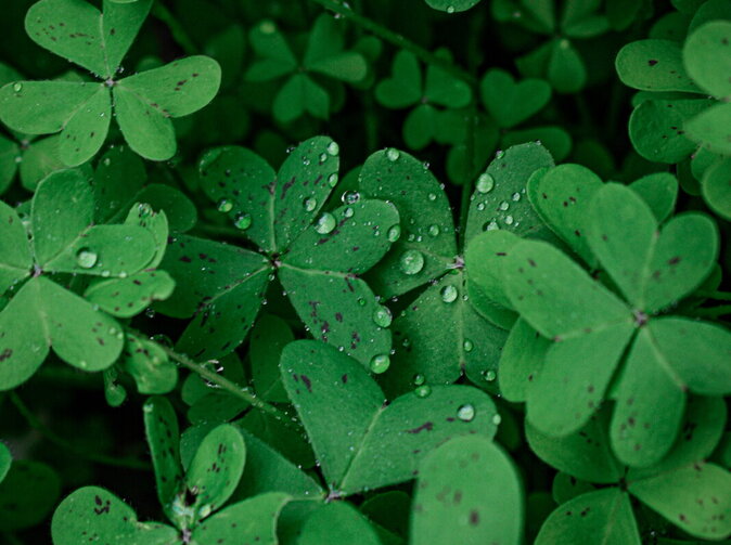 Čaká nás v piatok trinásteho šťastie či smola?