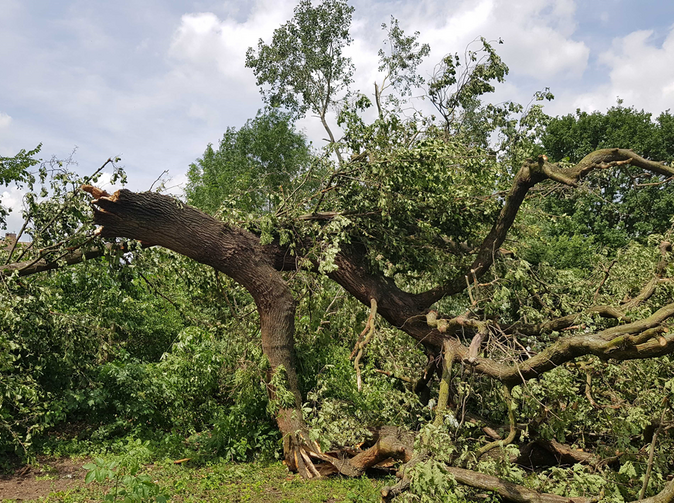 Za škody po živloch Allianz vyplatila vyše dvojnásobok 