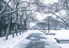 Zasnežené chodníky a mrazivé dni:  Kedy zodpovedáte za škody a ako vás chráni poistenie?