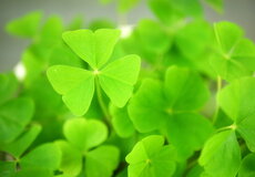 Piatok 13-teho: Je naozaj nešťastný? Zisťovala to poisťovňa Generali