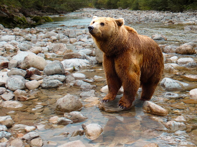 Pozrite si neobyčajné prípady poistných udalostí v roku 2022. Mnohé prekvapujú